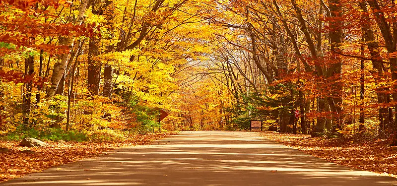 ������Ӱ����-������