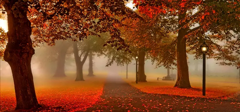 ������Ӱ����-������