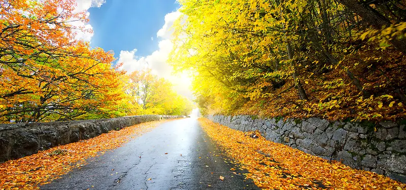 ������Ӱ����-������