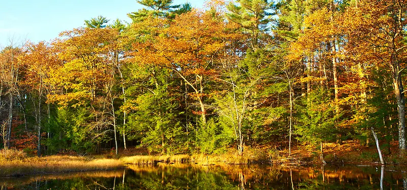 ������Ӱ����-������