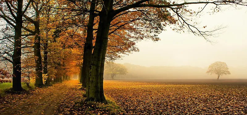 ������Ӱ����-������