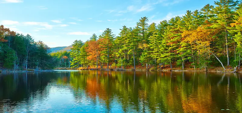 ������Ӱ����-������