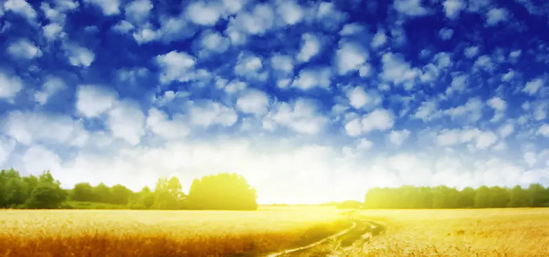 Ϧ����Ӱ����-������