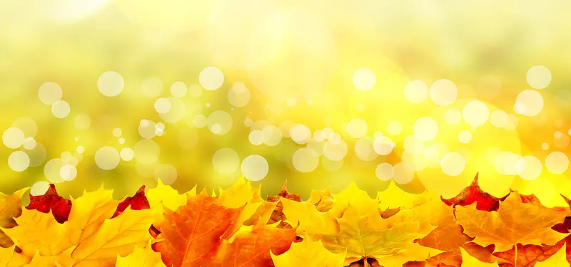 ΢����Ӱ����-������