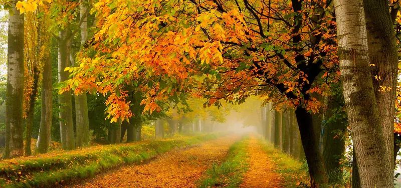 ������Ӱ����-������