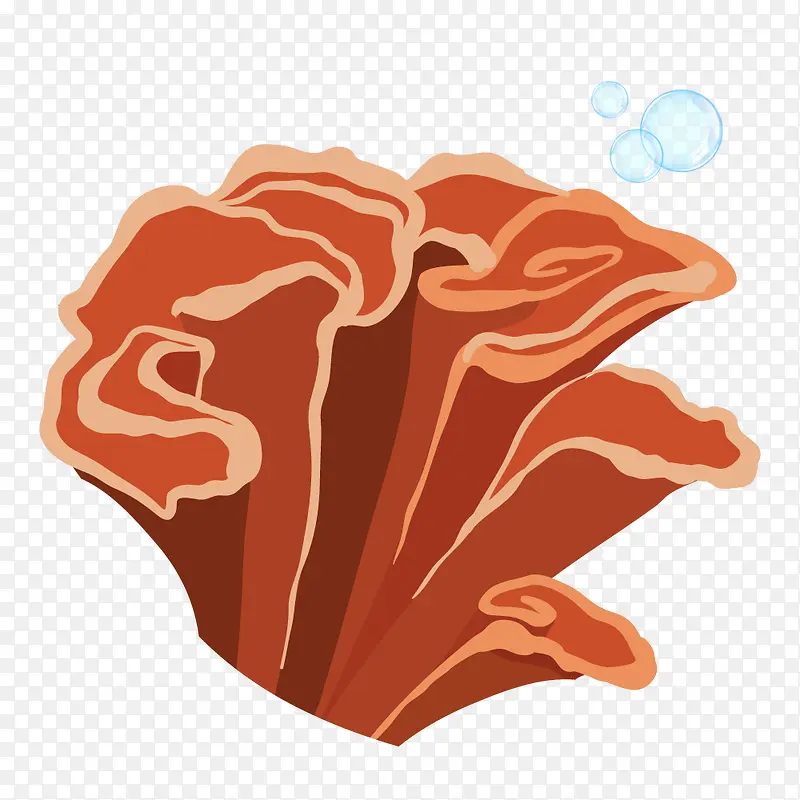 ��ɫ����ˮ�ݺ�������-������