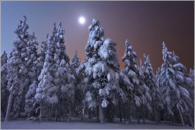 ��ɫΨ�������¹�-������