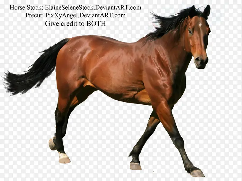 ������Ӱ��ԭ�ϵĿ���-������