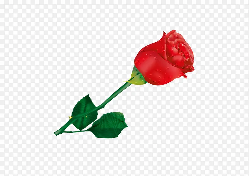 õ��-������