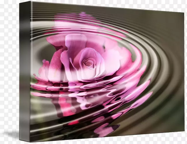 ���Ϻ�ɫ��Ӱ����õ��ˮ-������