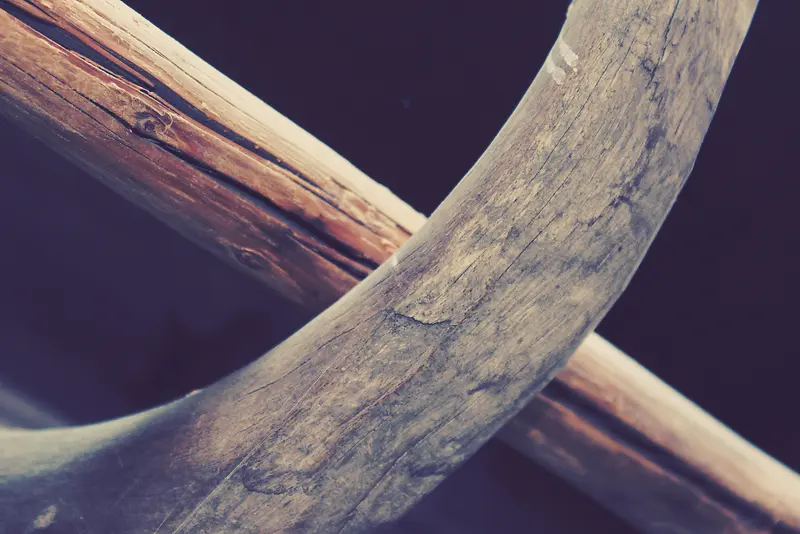 ľ����������-������