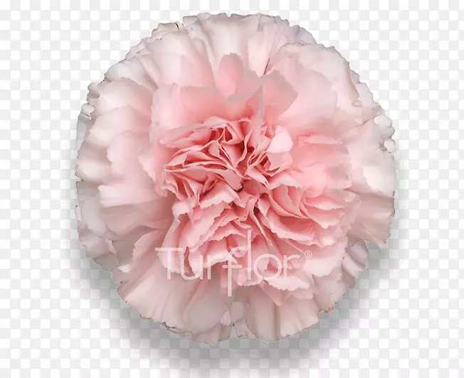 �컨����ܰ�л����겪�޵ڻ�-������