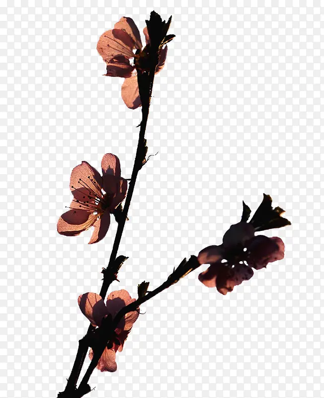 �һ���Ӱ-������