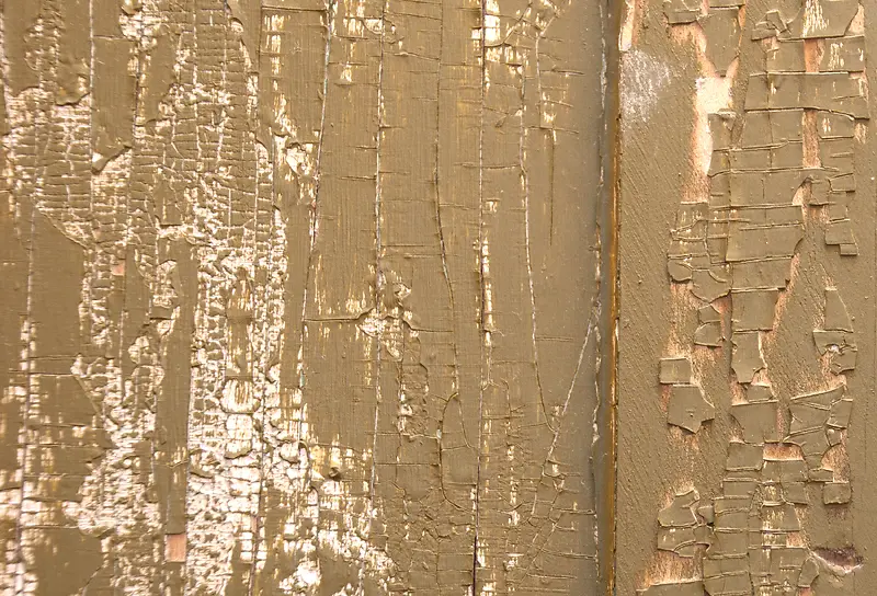 �������ᱳ��-������