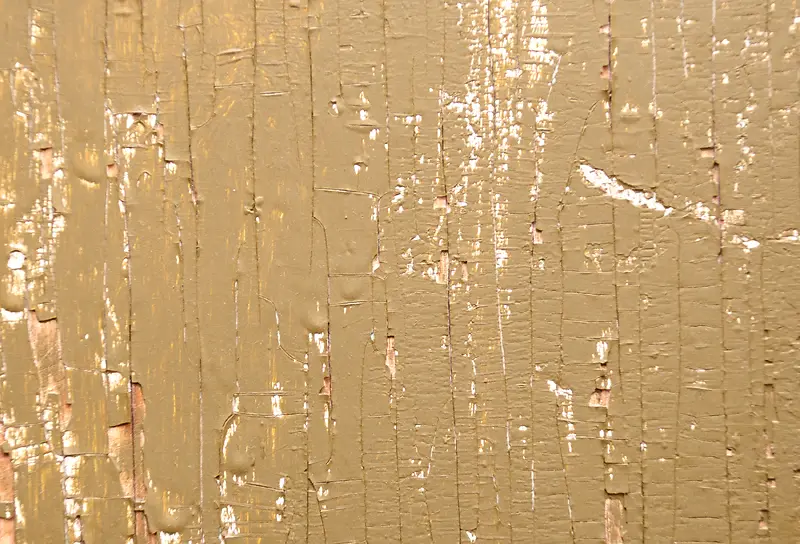 ��������ᱳ��-������