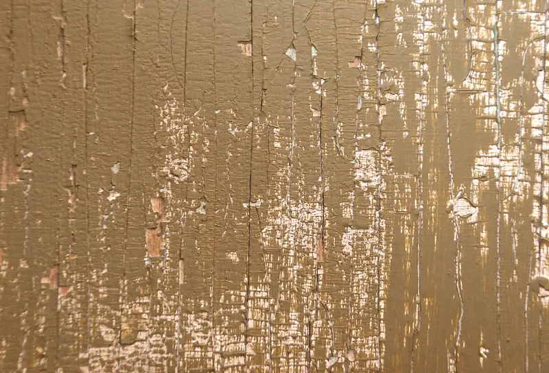 ����ľ�Ʊ���-������