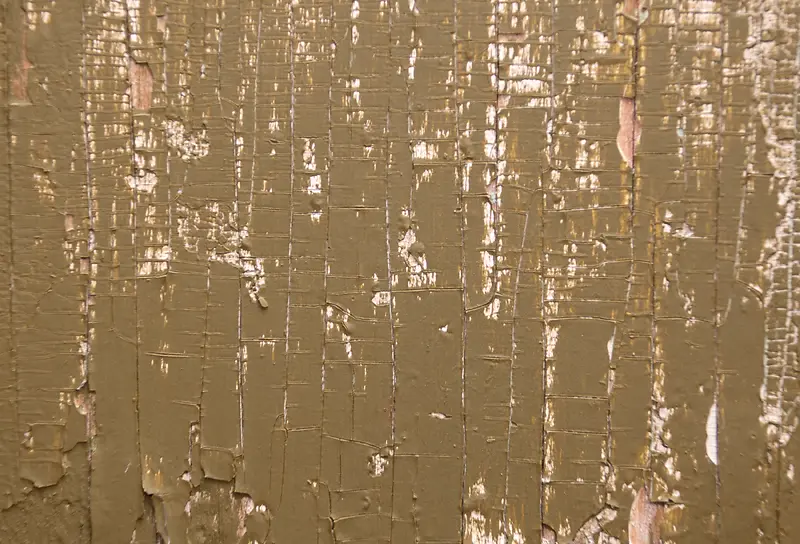 ľ�����ᱳ��-������