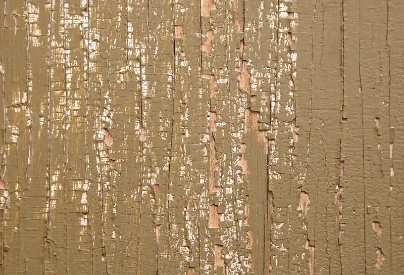 ľ�����ᱳ��-������