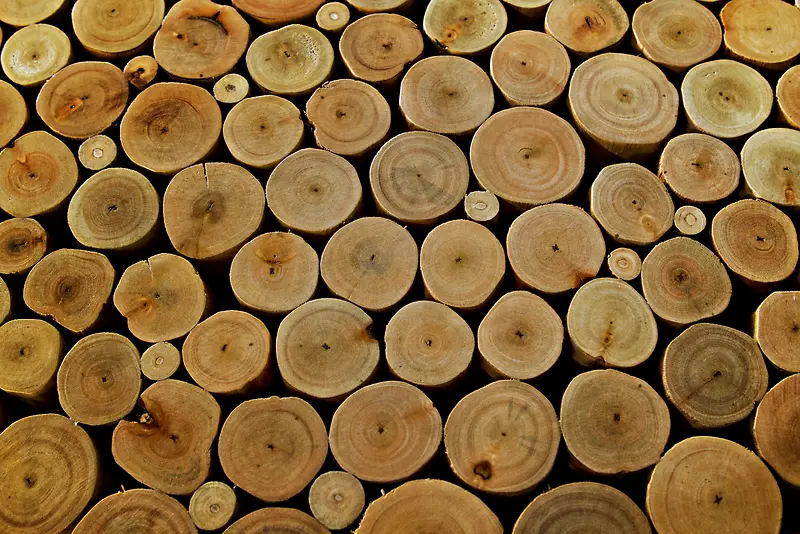 ľ�����ֱ���-������