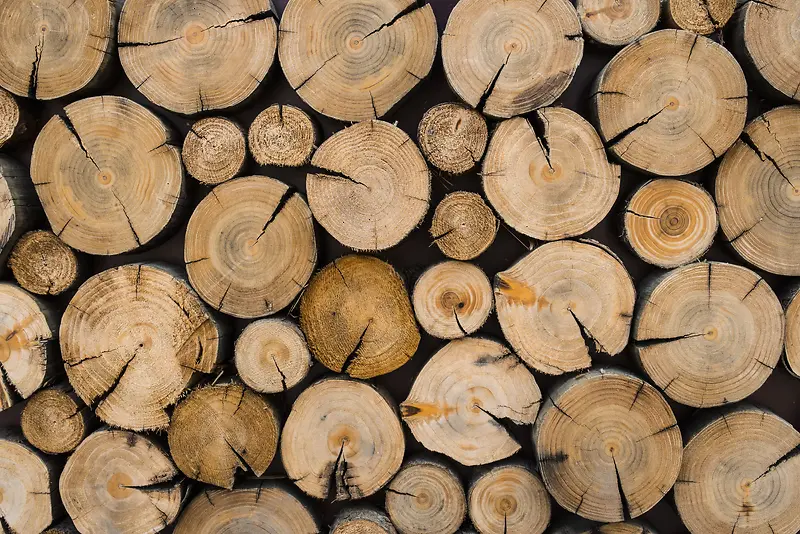 ��ľ����-������