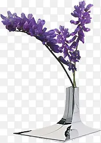 ʱ��ŷʽ��ƿ-������