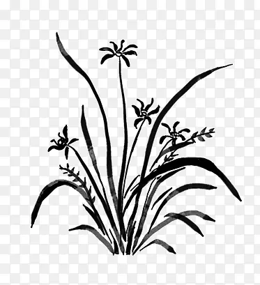 ˮī����-������