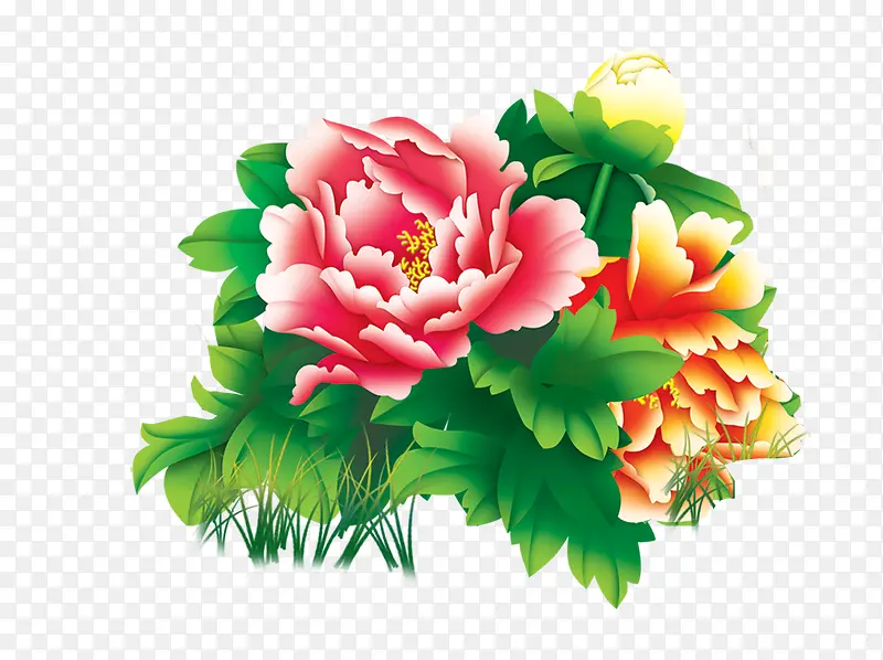 ����ĵ��-������