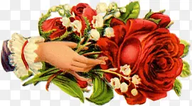 ��ͨԪ�ؿ�ͨ����ʸ��ͼ-������