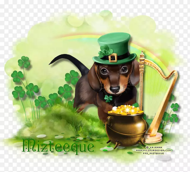 ���˹��С������-ʥ�������-������