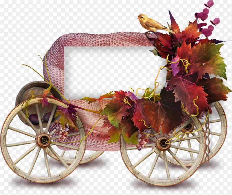 �������԰�-������