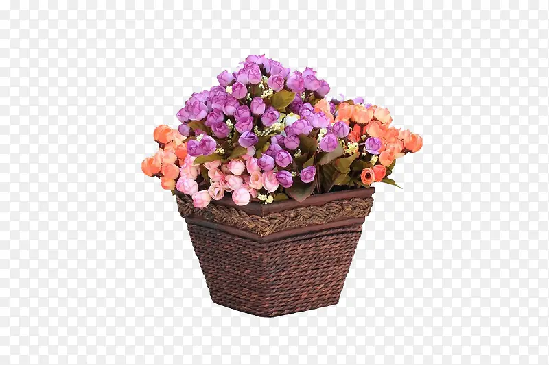 ��Ӱͼ ����-������