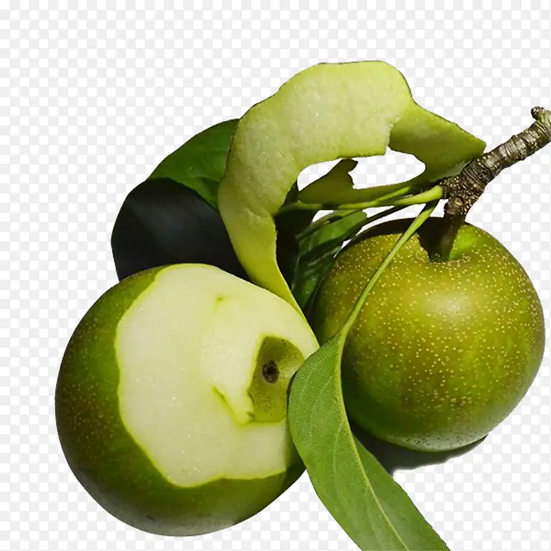 ��֦�ϵ�����ͼƬ�ز�-������