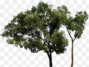 ��̬��԰��������-������