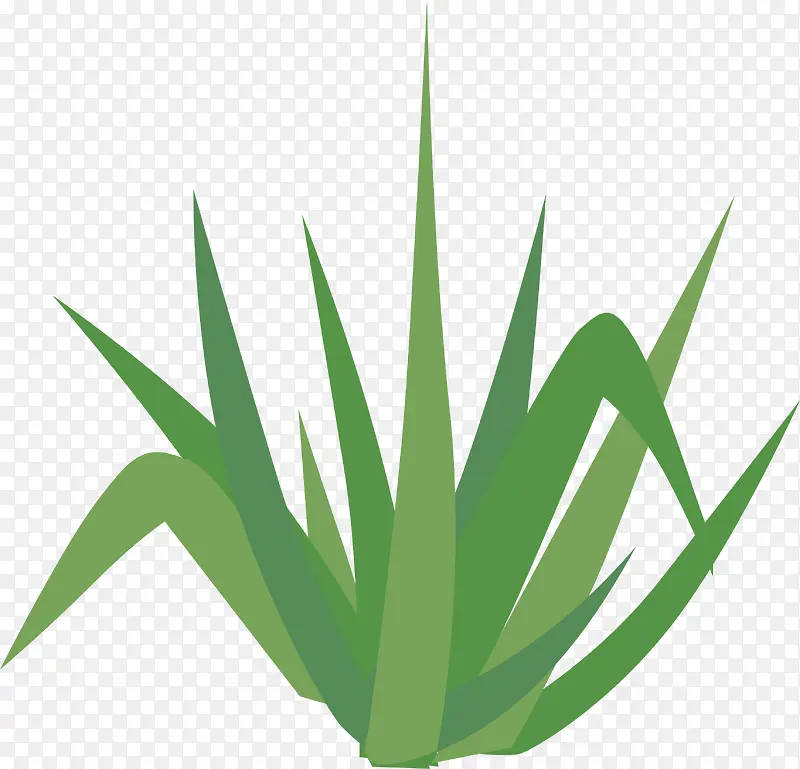 ��С����翵�С��-������