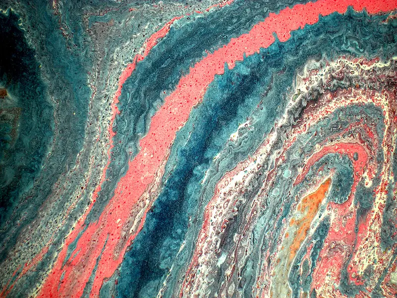 ��ɽ�ҽ�����-������