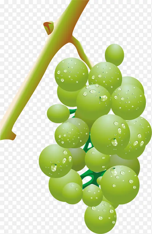 ����pngʸ���ز�-������