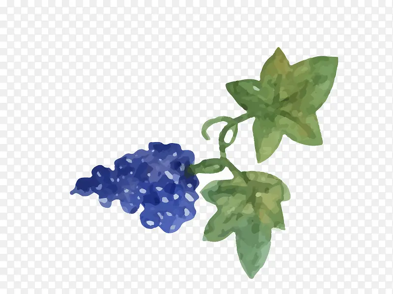 ���ѿ�ͨʸ���ز�-������