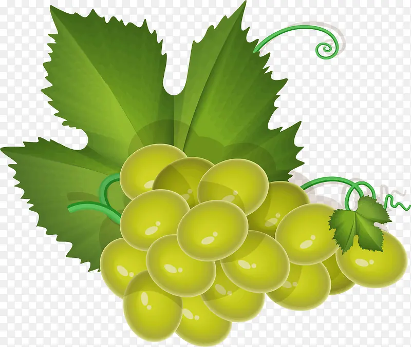 ����PNGʸ���ز�-������