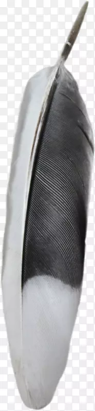 ��ɫ��ë��ɫ-������ͷ-������