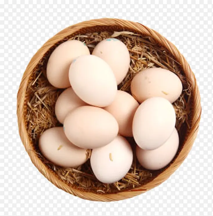 ������ļ���-������