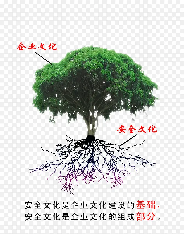 �������䰲ȫ�Ļ�չ��-������