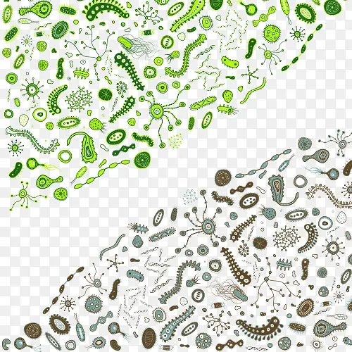 ��ϸ���Ŵ�ϸ��ͼ-������