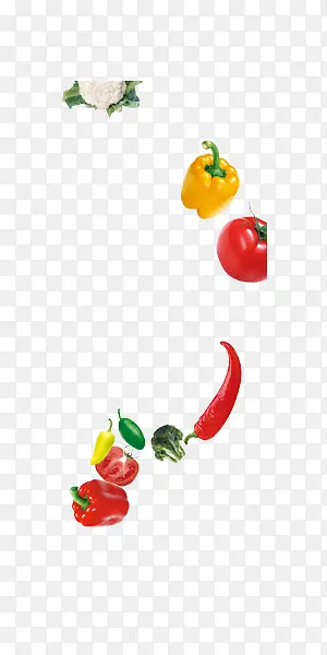 ������й����߲���ʳװ��-������