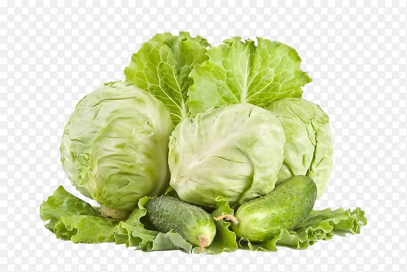 �߲˰���-������