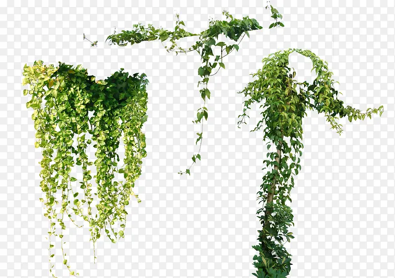 ����-������