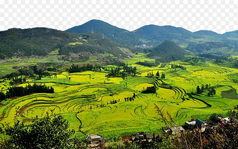 ������ƽţ����˿��羰������Ӱ-������