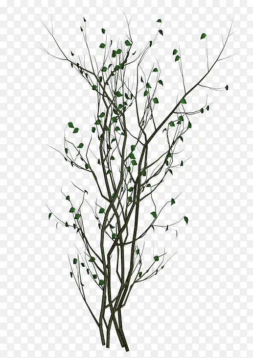 �򵥵���֦-������