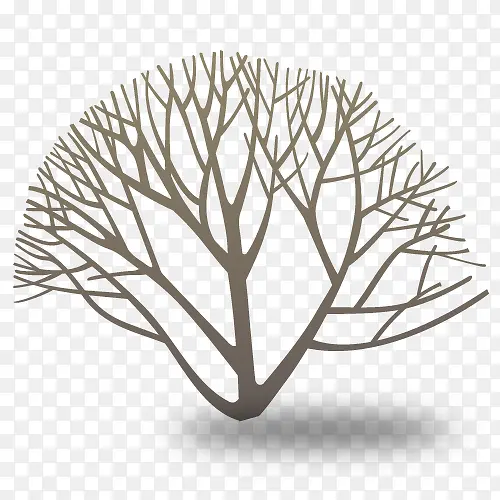 ������֦-������