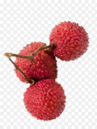 һ����֦-������