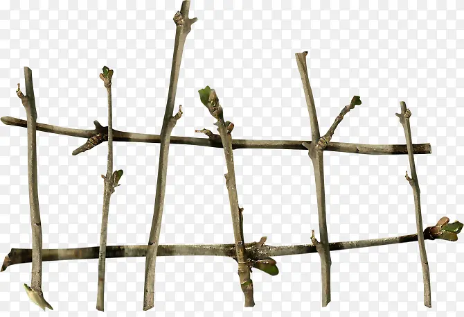 ��դ��-������